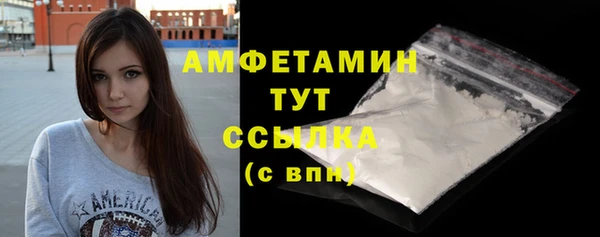 молекула духа Бородино