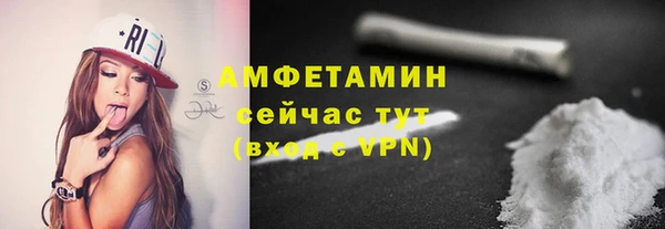 молекула духа Бородино
