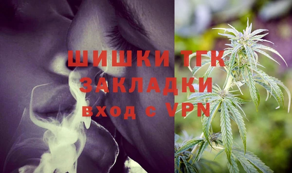 молекула духа Бородино