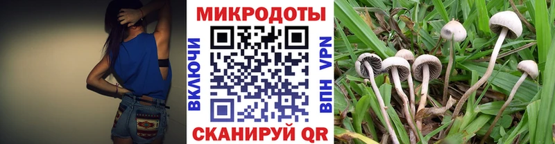 Галлюциногенные грибы прущие грибы  Мглин 