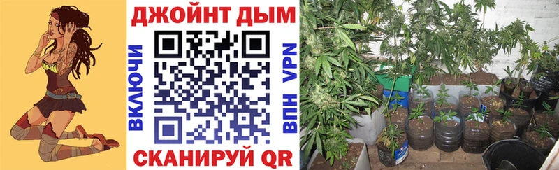 Каннабис индика Мглин